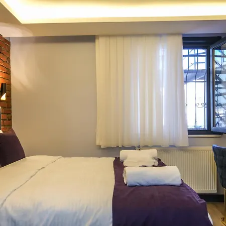 Mansion Yellow شقة فندقية اسطنبول